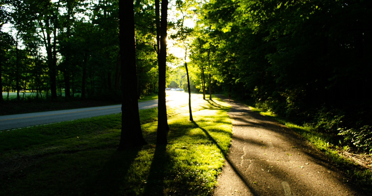 Light Shadow Path Creating Light and Shadow Photography